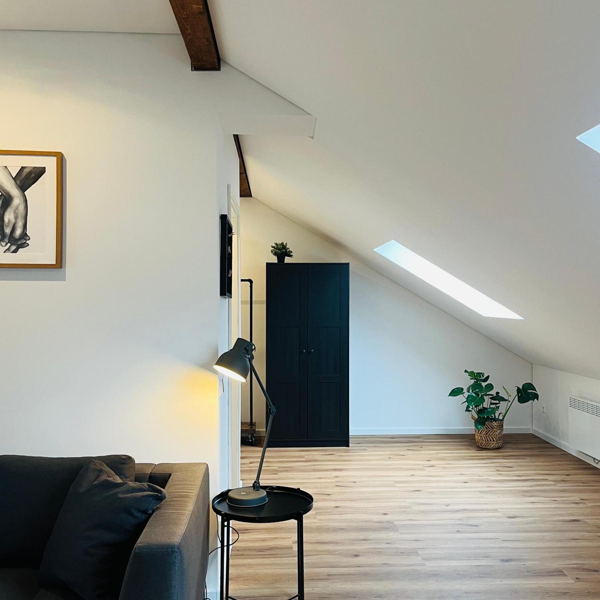 City Loft Apartment Bad Saeckingen Bad Säckingen Exterior foto