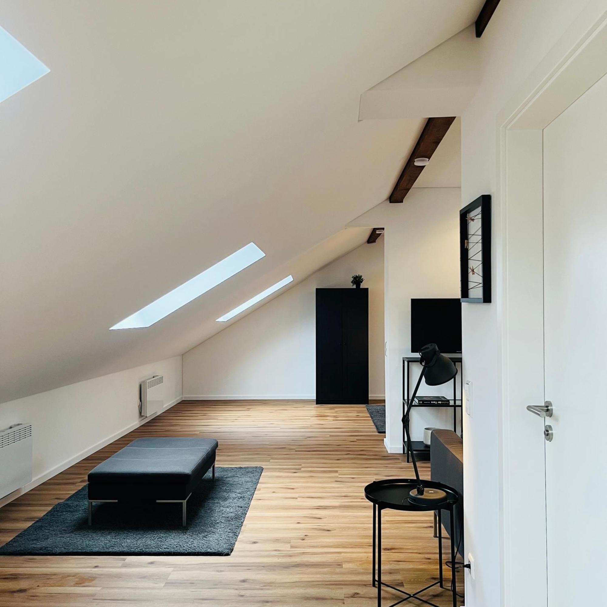 City Loft Apartment Bad Saeckingen Bad Säckingen Exterior foto