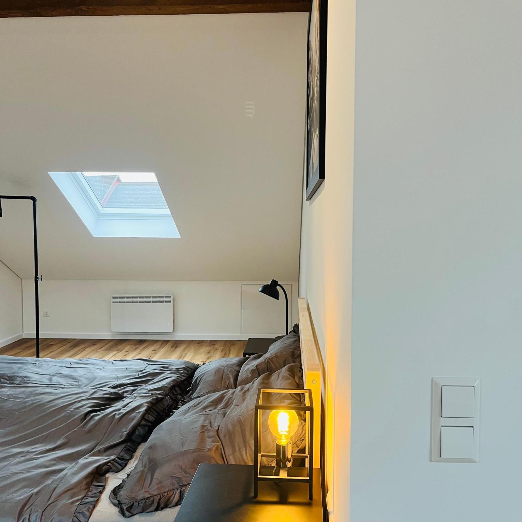 City Loft Apartment Bad Saeckingen Bad Säckingen Exterior foto
