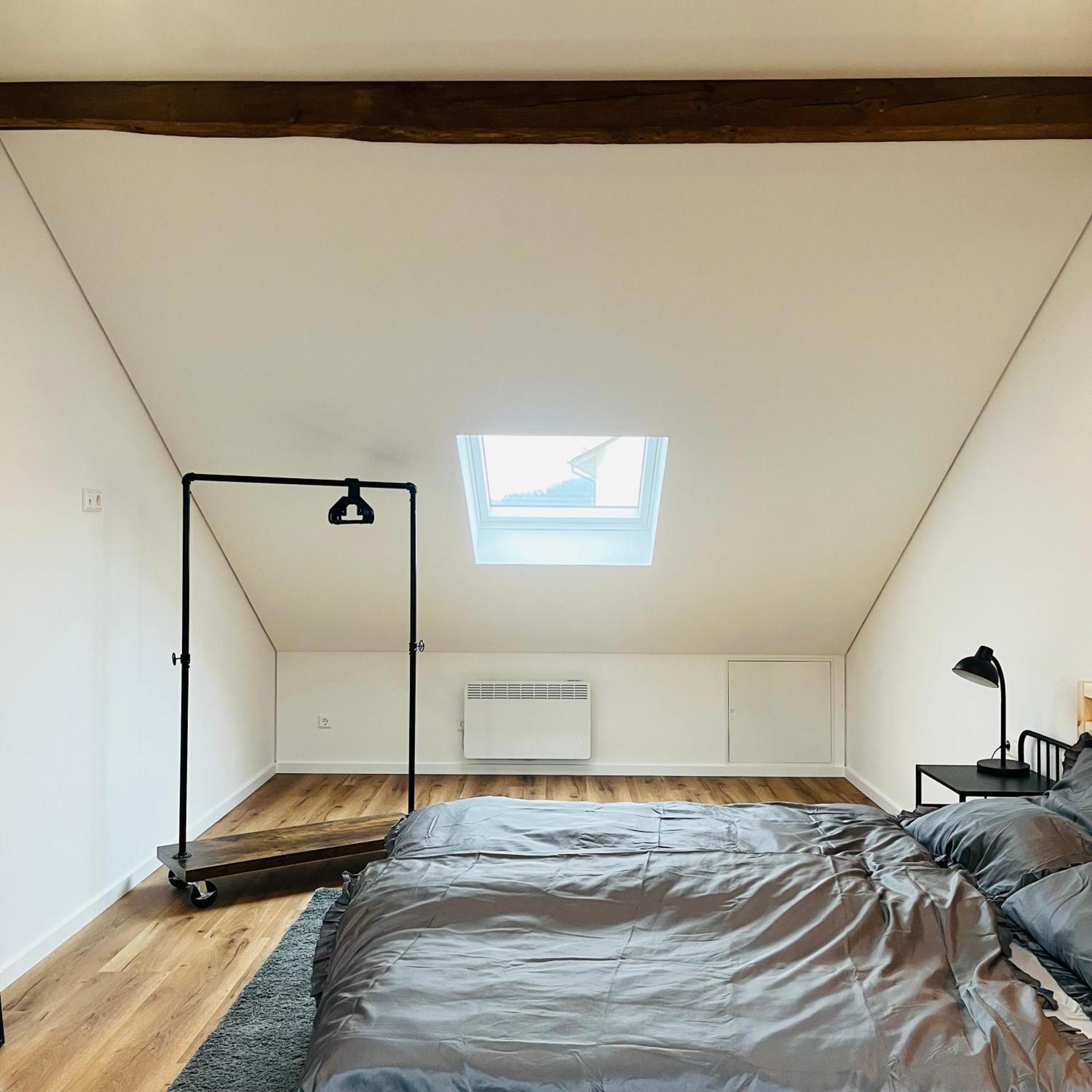 City Loft Apartment Bad Saeckingen Bad Säckingen Exterior foto